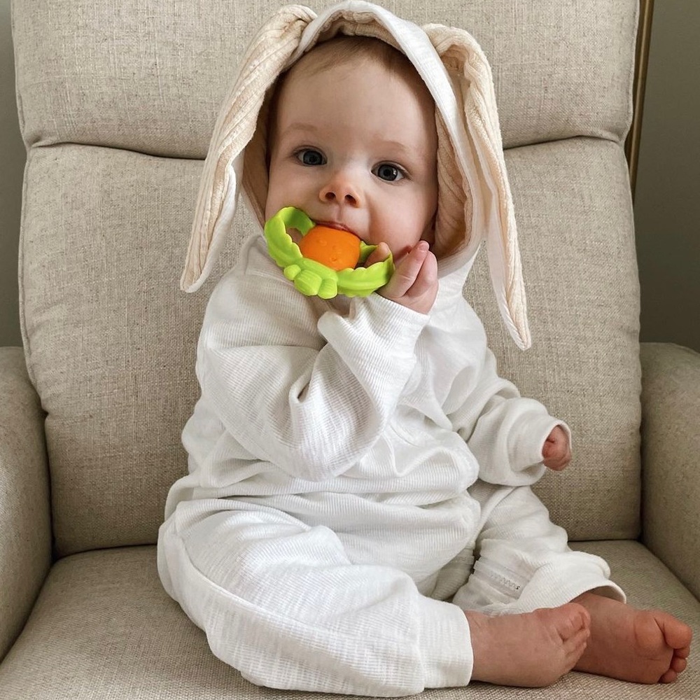 Bunny outfit & carrot teether